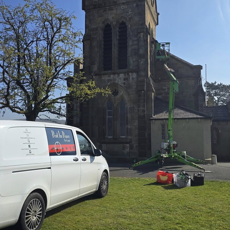 Pest In Peace branded van outside a church