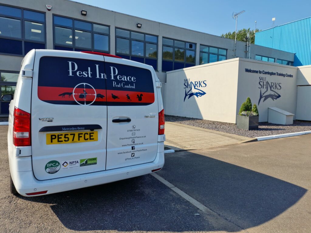 Commercial Pest Control In Cheshire, Stockport, Manchester Pest in Peace
