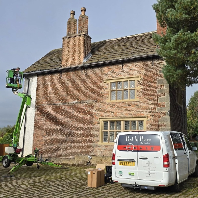A house in Cheshire with a cherry picker and Pest In Peace branded van in front of it